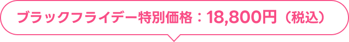 ブラックフライデー特別価格：18,800円（税込）
