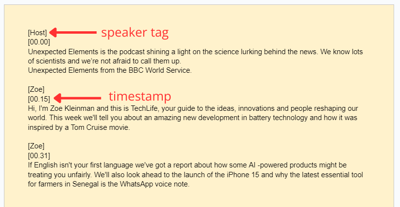 Add timestamps and speaker tags in your manual transcription