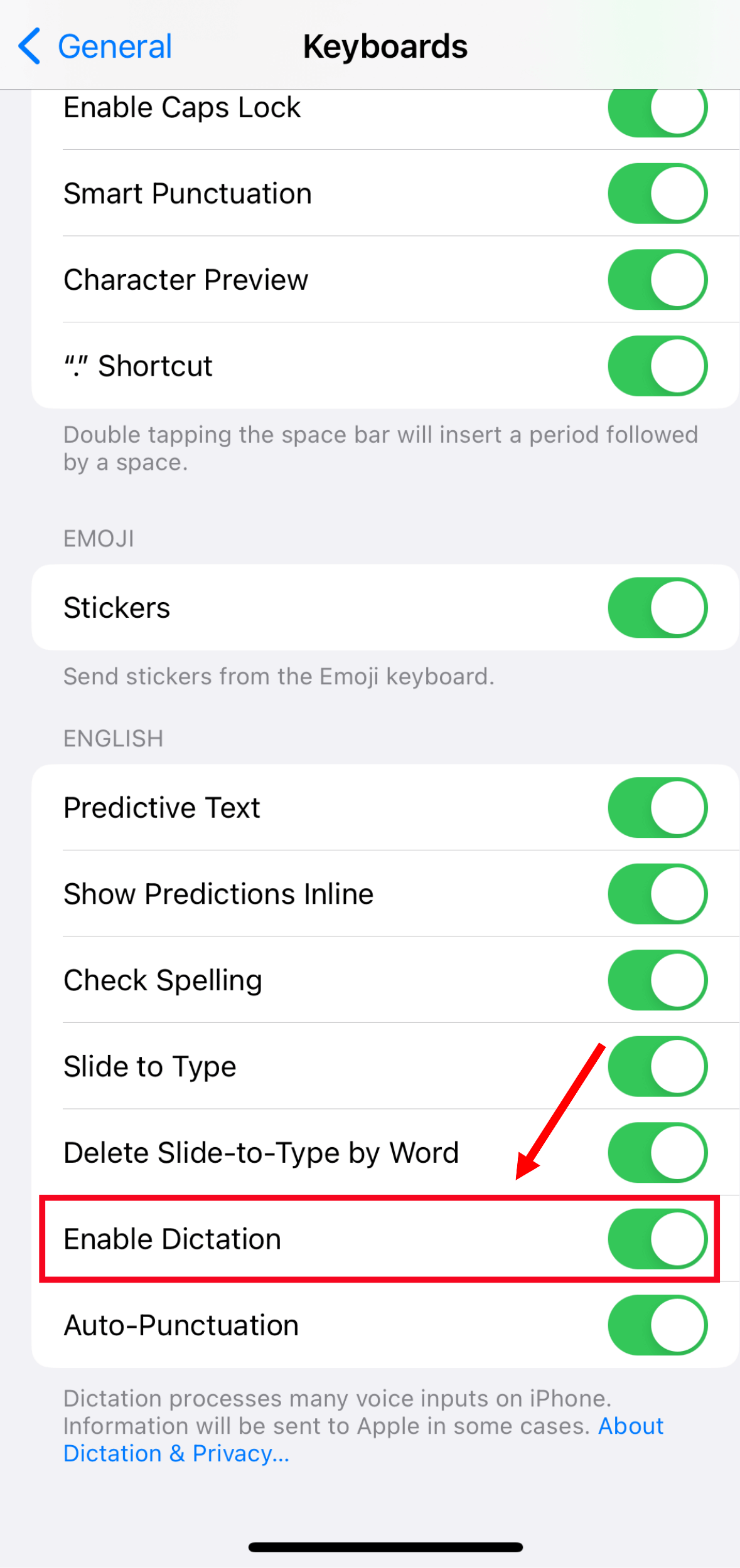 Turn on the toggle next to enable dictation feature