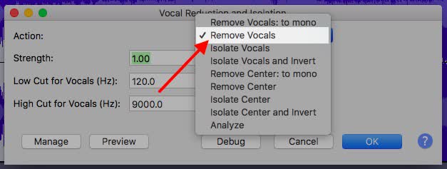 select ‘Remove Vocals.’