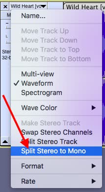 Click ‘Split Stereo to Mono’