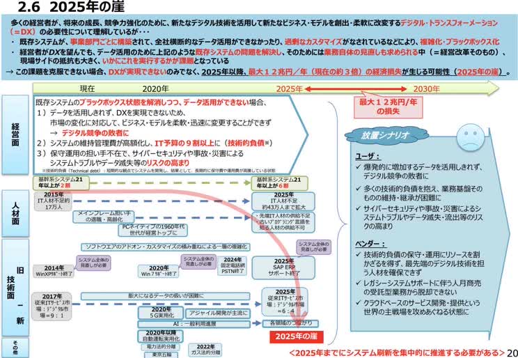 「2025年の崖」で民間企業に警鐘を