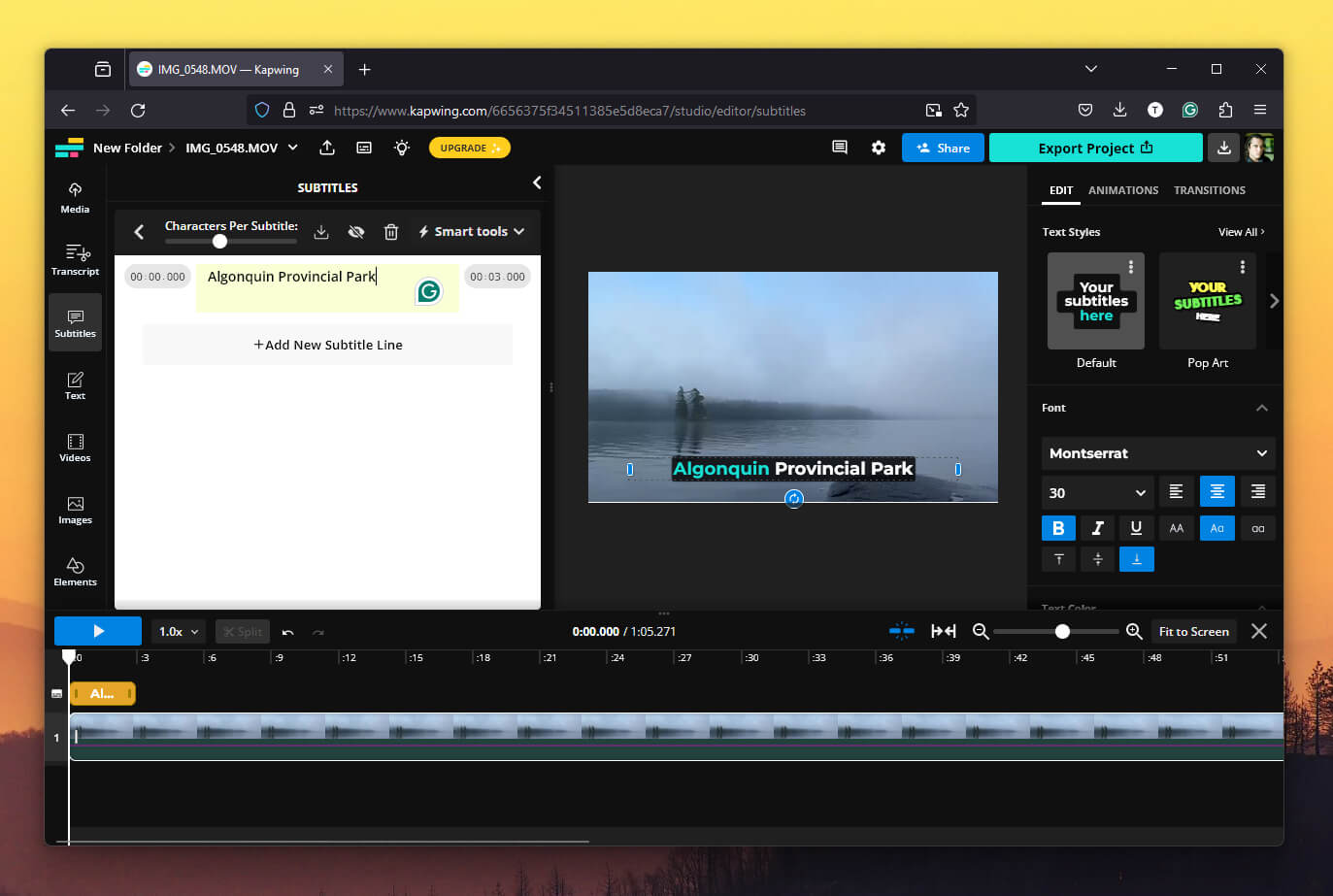Screenshot of Kapwing dashboard