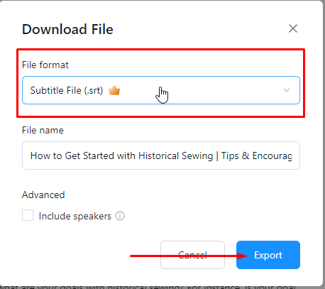 choose an SRT file for subtitling