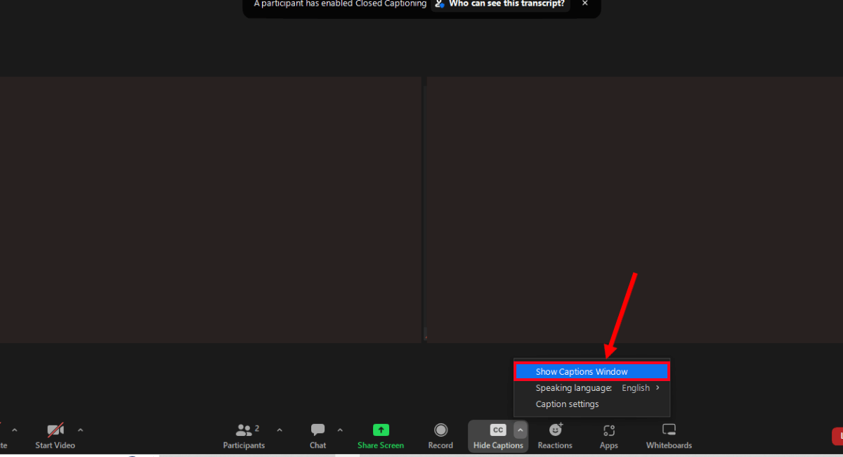 click hide captions and select show captions window