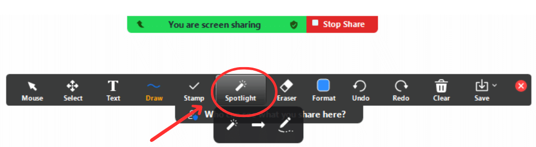 click spotlight to track mouse pointer