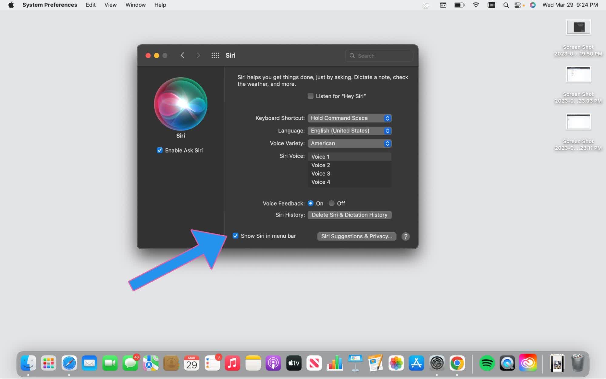 enable it in System Preferences