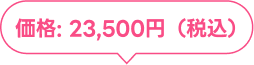 価格: 23,500円（税込）