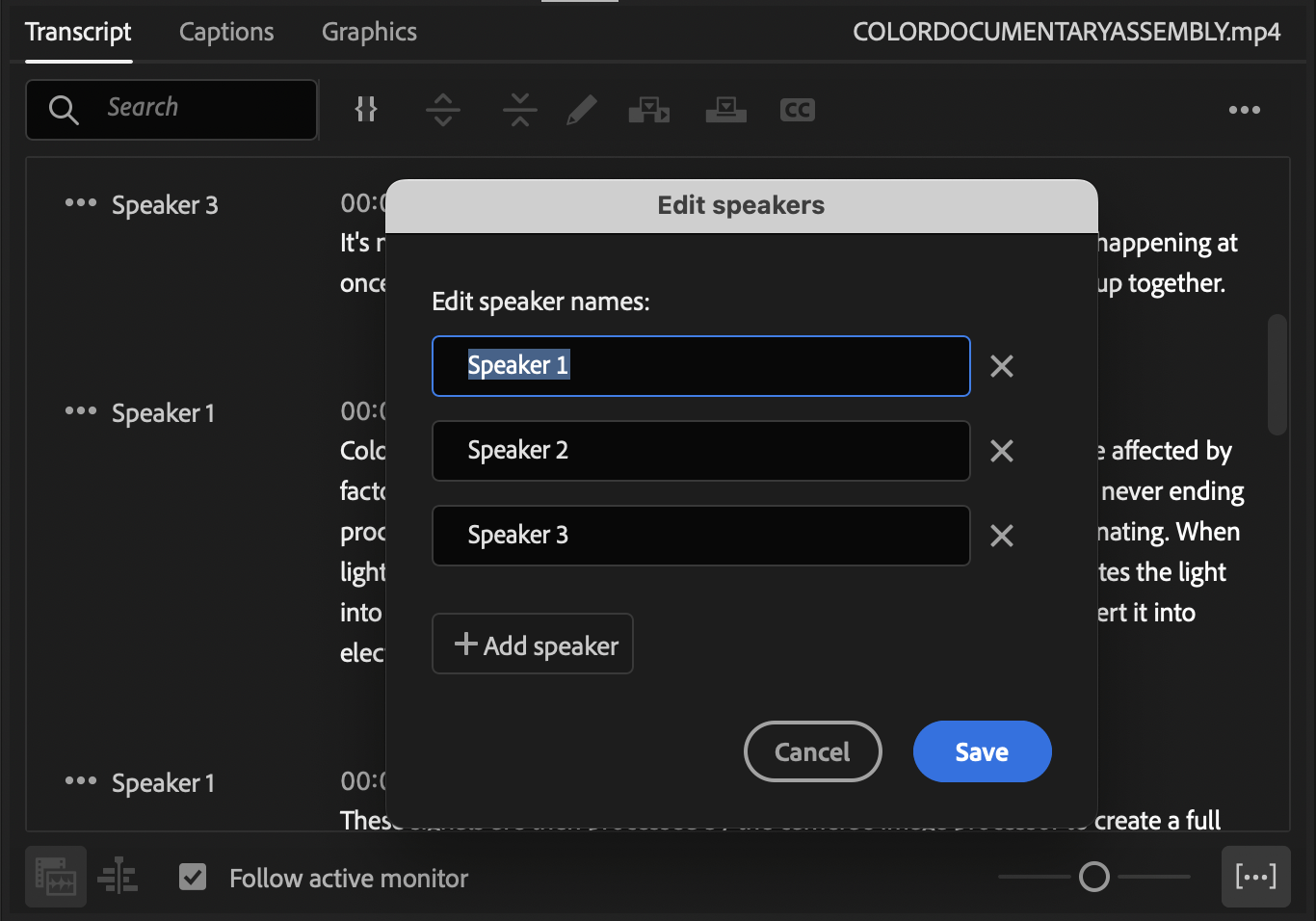 edit speaker name in transcript