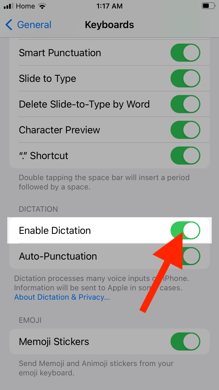 enable dictation switch