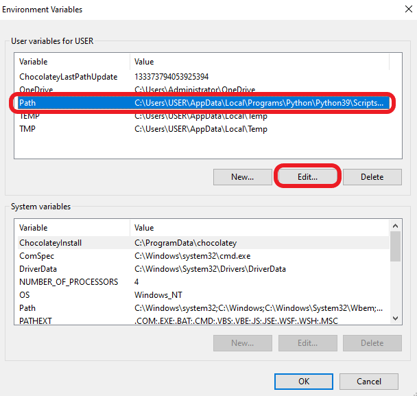 environment variables new path