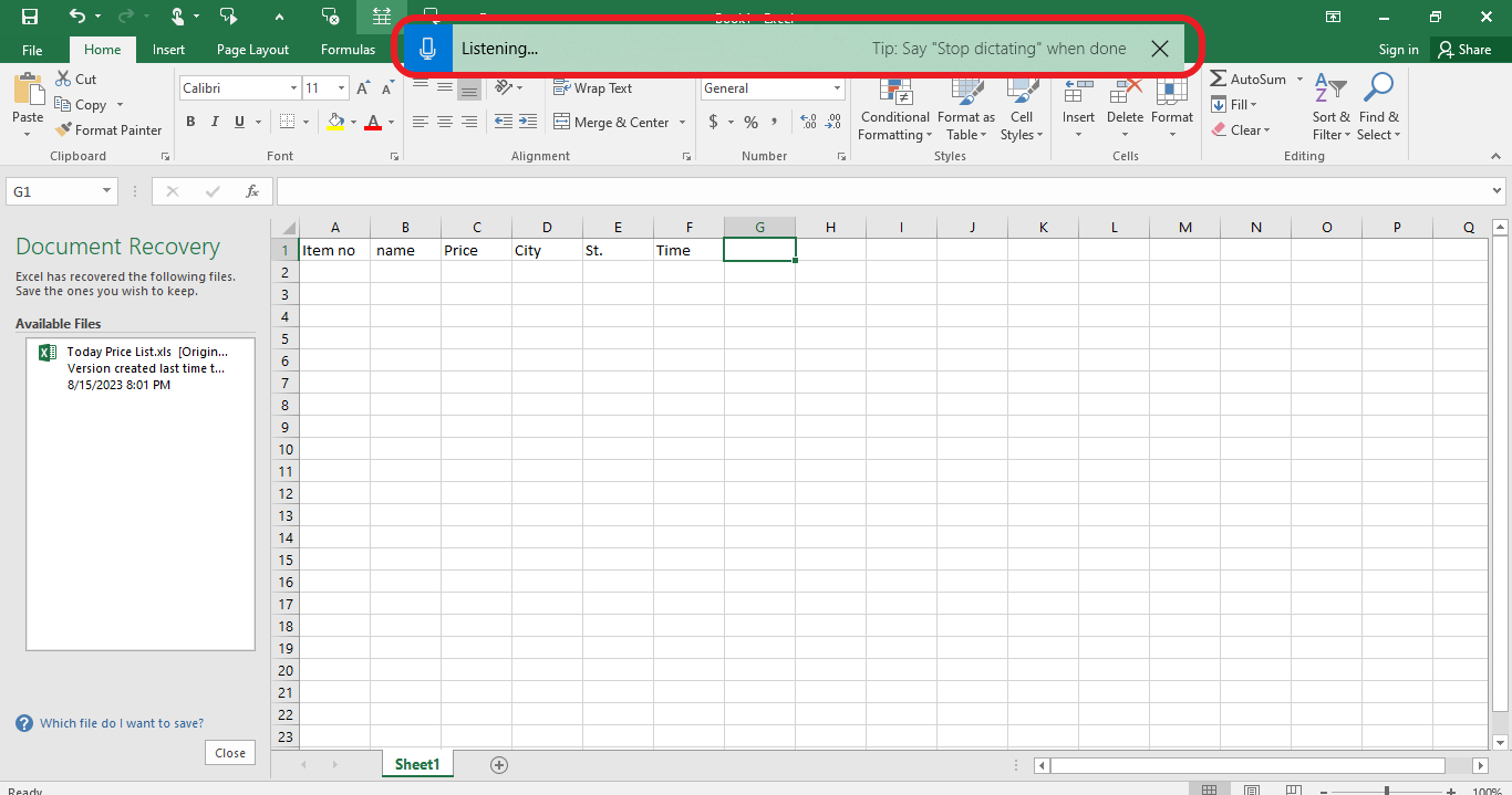 excel dictation