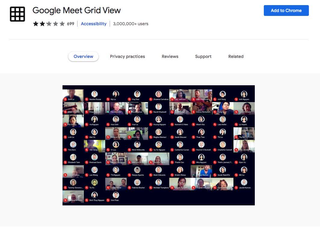 Google Meet Grid View