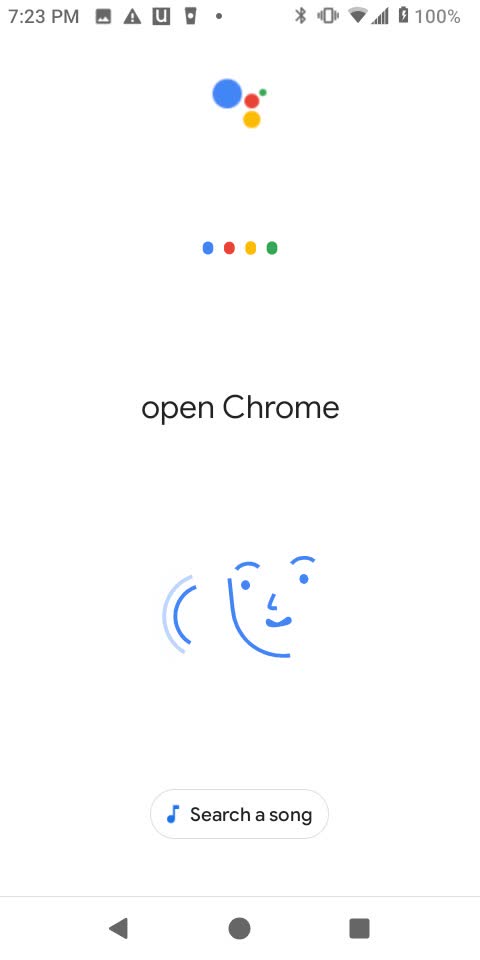 open the Google Chrome app