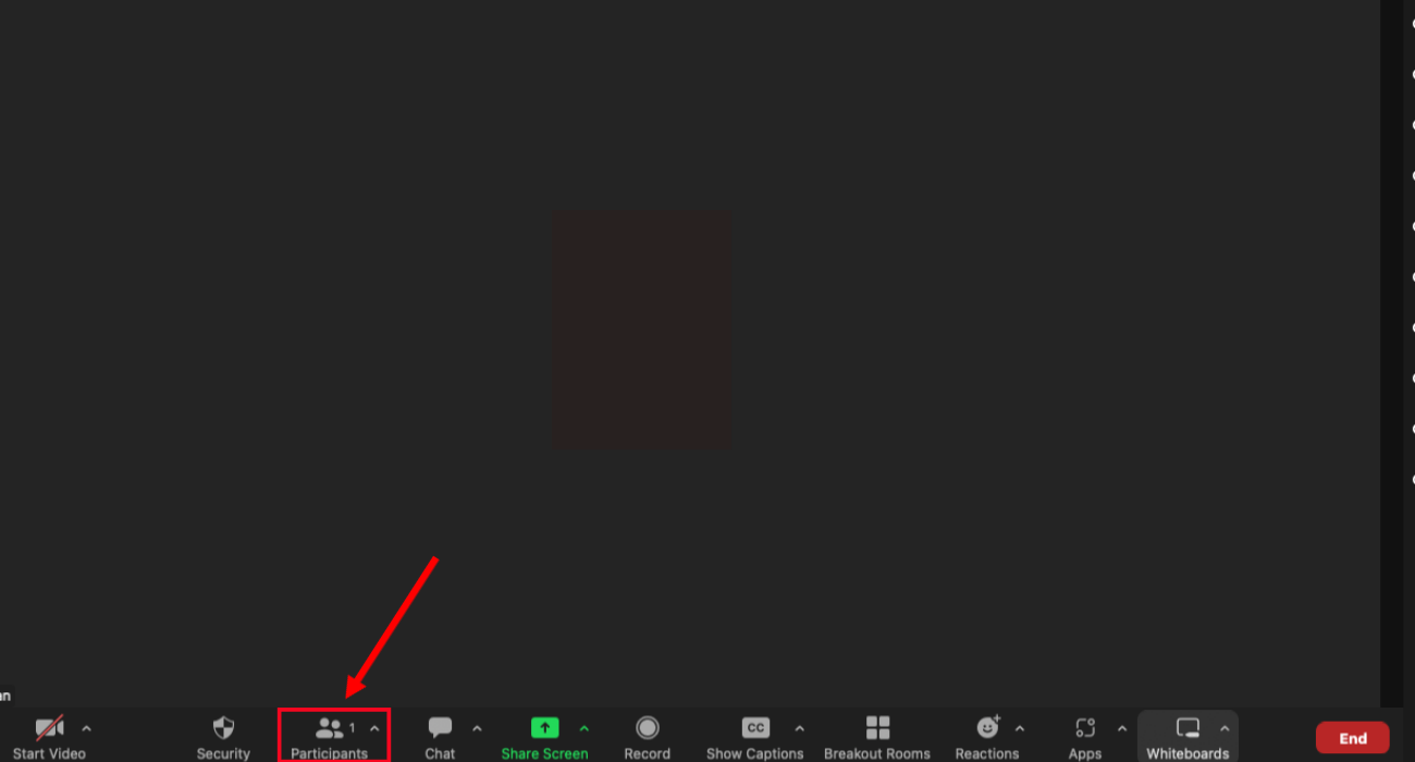 click the arrow next to participants after joining Zoom meeting