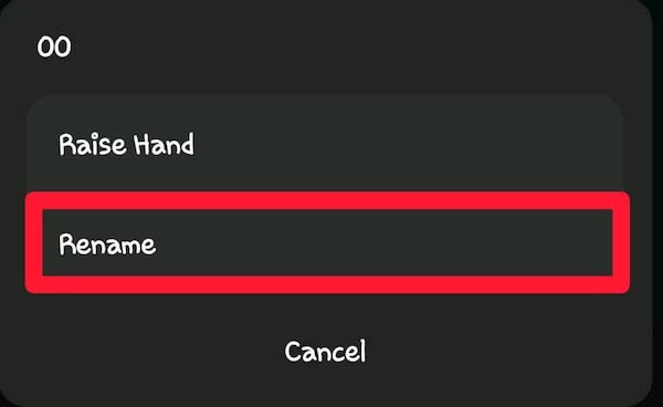 tap ‘Rename’ to proceed