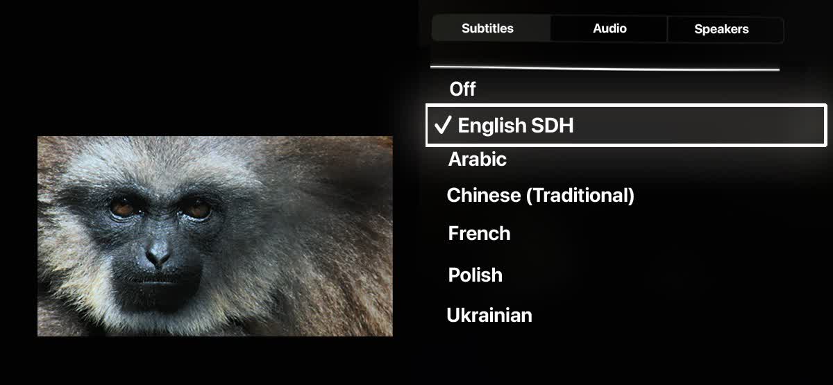 select ‘Audio & Subtitles.’