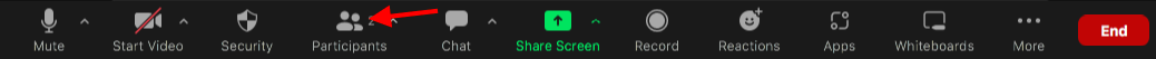 click ‘Participants’ on the bottom toolbar