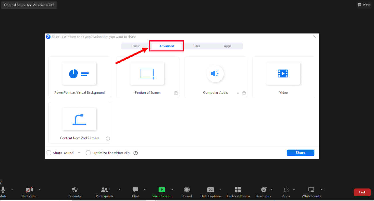 advanced screen sharing options