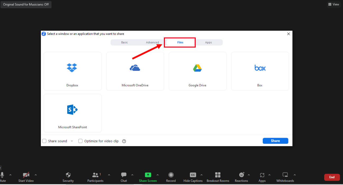 files screen sharing options