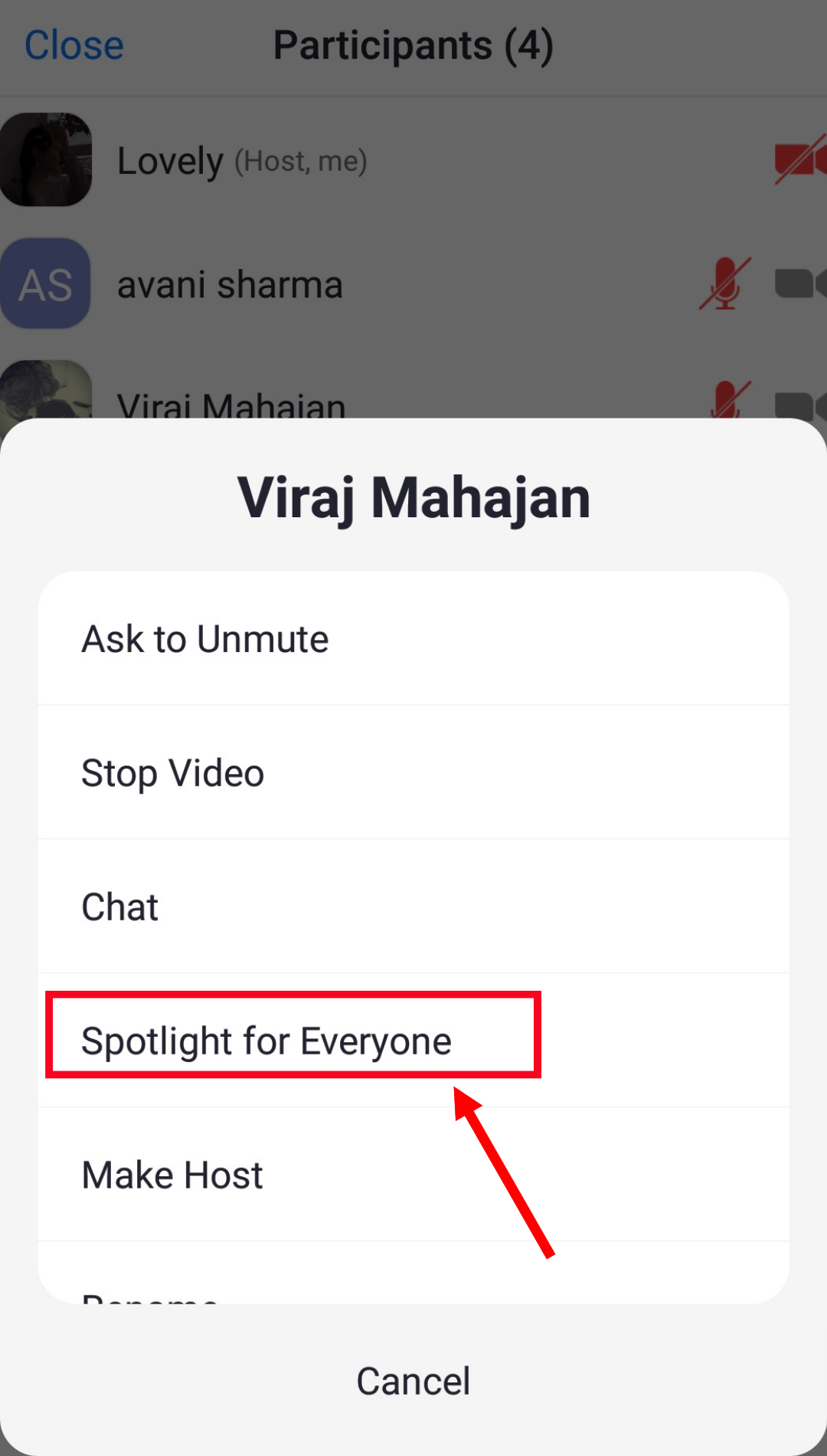 select spotlight for everyone to add participants to spotlight