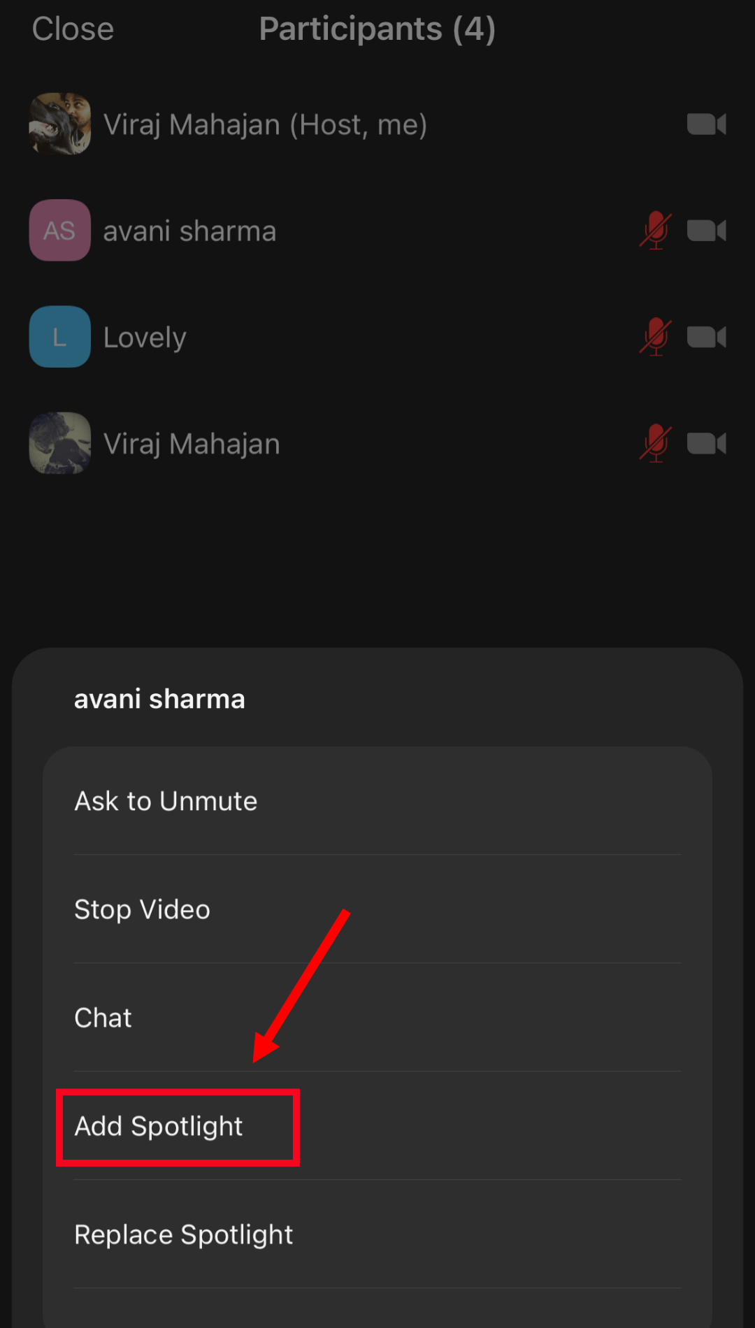 select add spotlight to designate participant as spotlight speaker