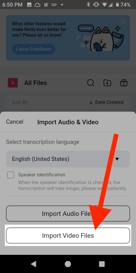 Import Video Files