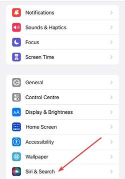 choose ‘Siri & Search’