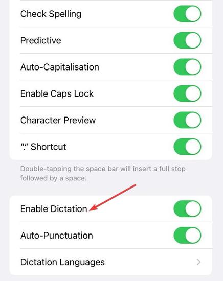 toggle on the switch ‘Enable Dictation’