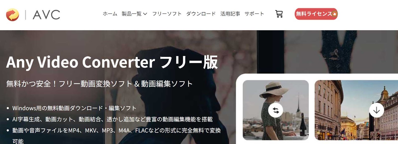 Any Video Converter フリー