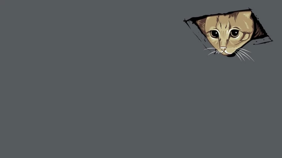 Cat peeking through a ceiling