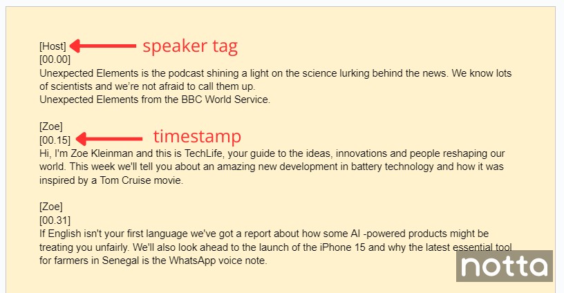 Add timestamps and speaker tags in your manual transcription