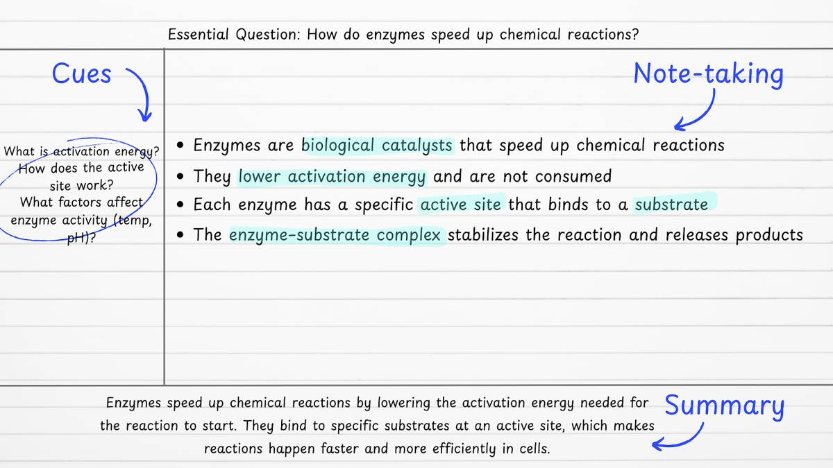 The Focused Note-Taking Process Explained (With Examples and Tips)