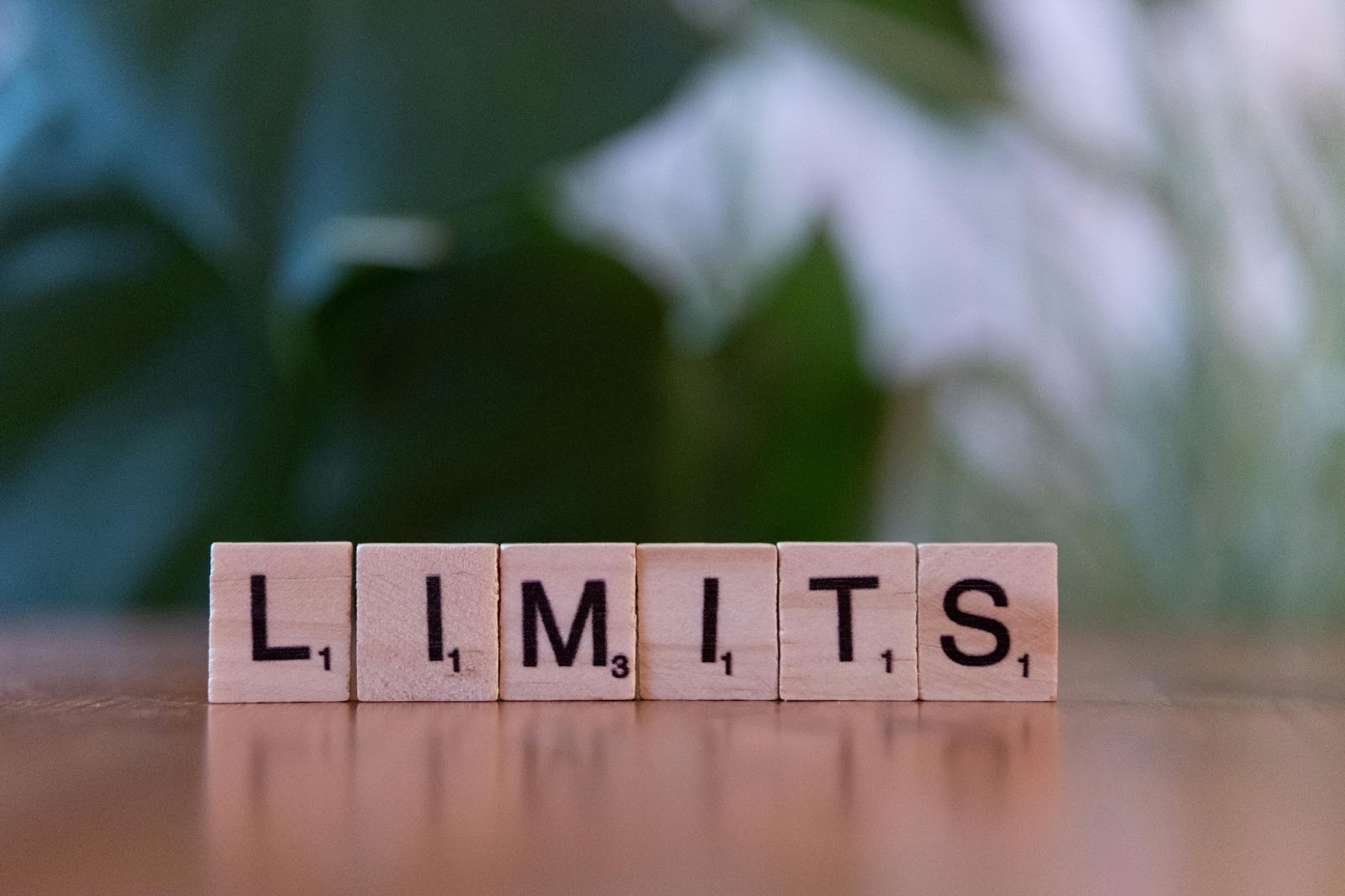 6つの木のブロックに「LIMITS」と書かれたものが横に並べられている