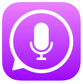 iTranslate Voice