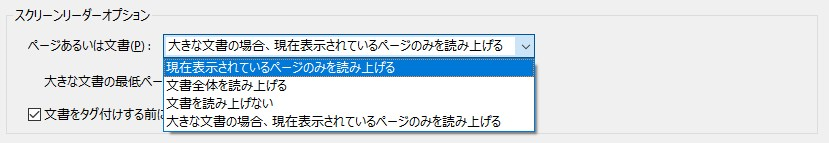 スクリーンリーダーオプション