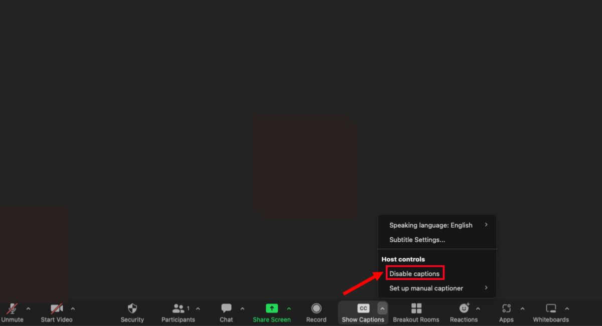 select enable captions in zoom meeting