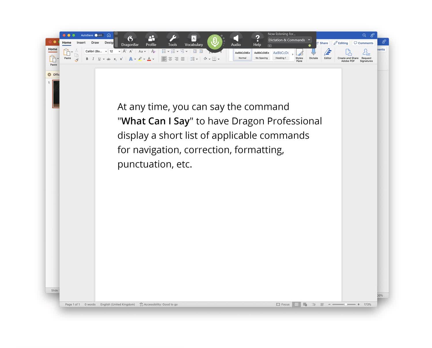 Dragon Professional