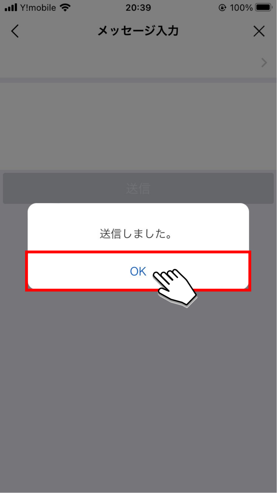 「OK」ボタンをタップ