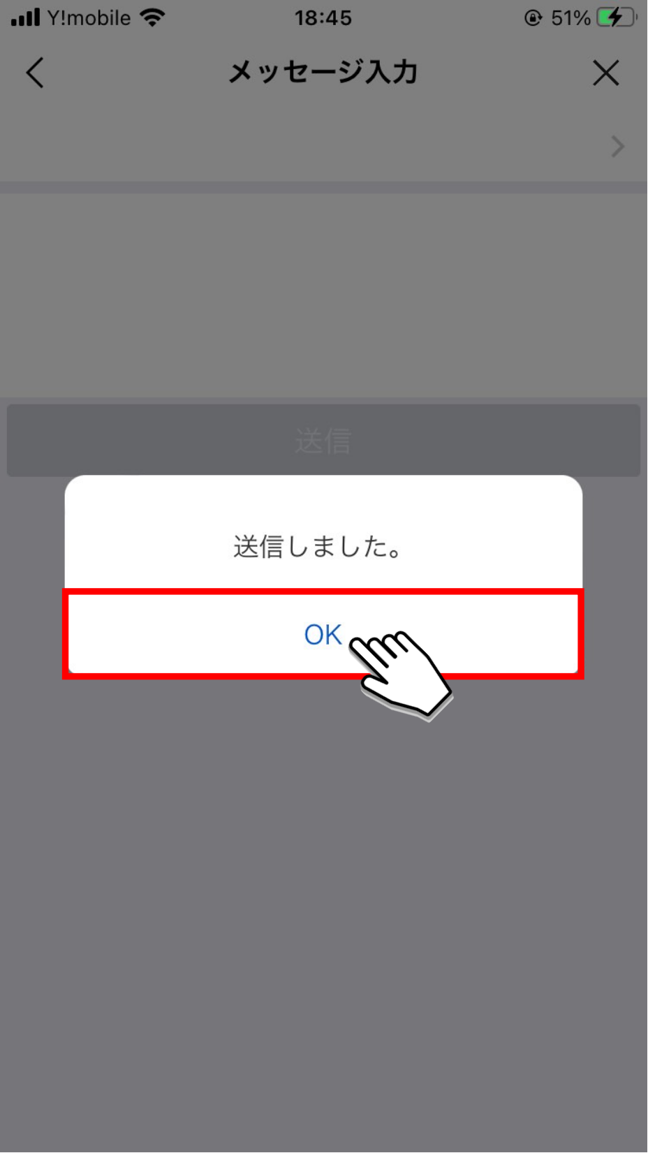 「OK」ボタンをタップ