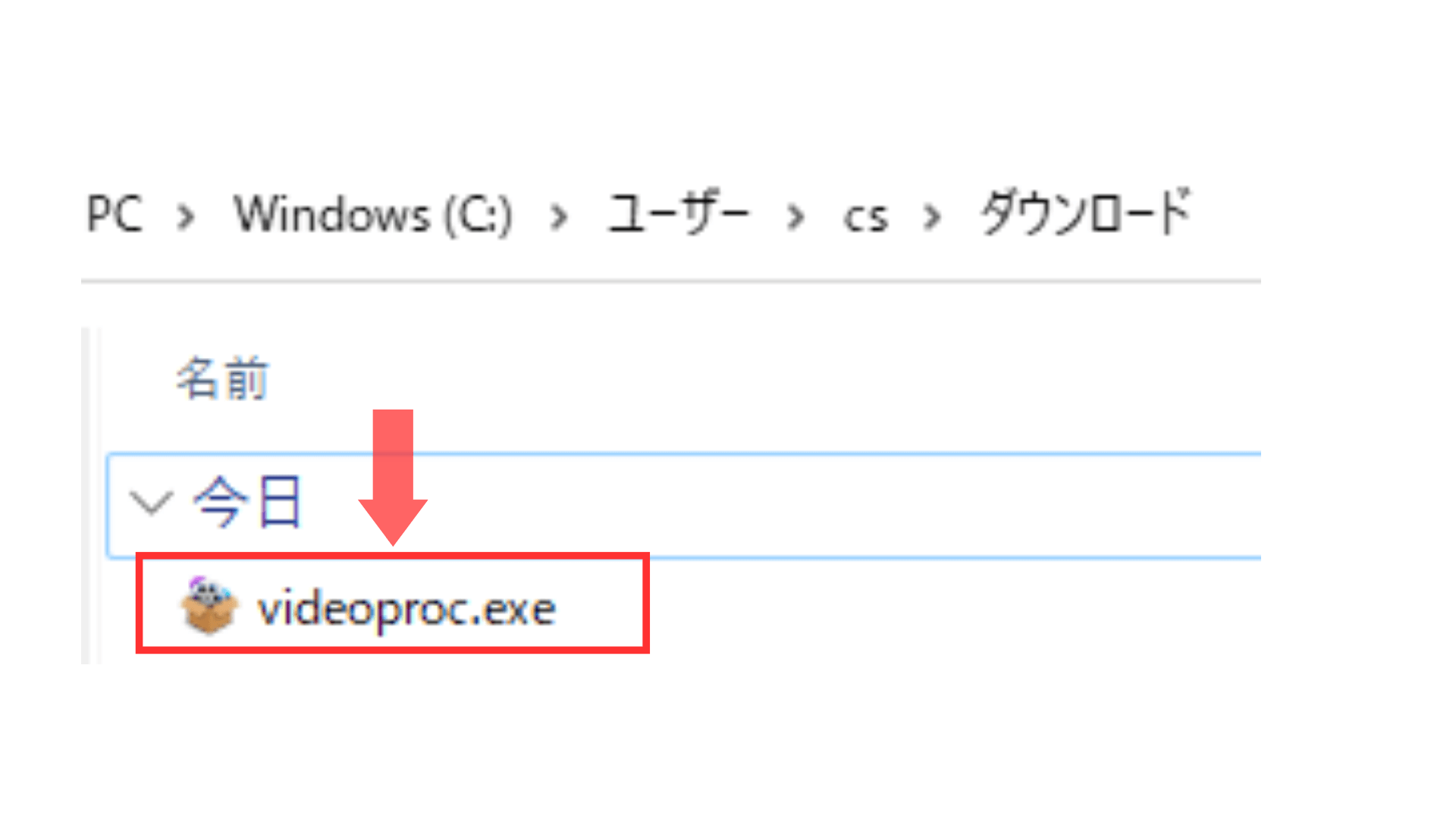 VicdeoProc Converterをインストールする