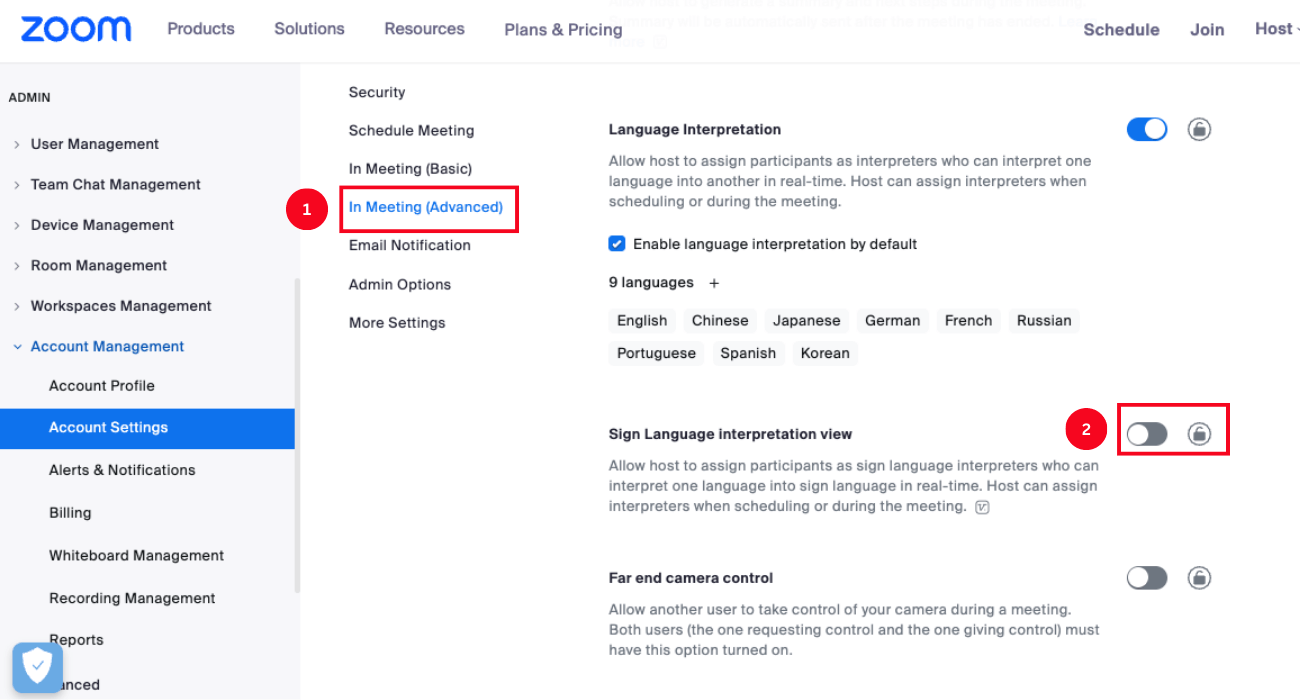 under in meeting advanced enable the sign language interpretation view