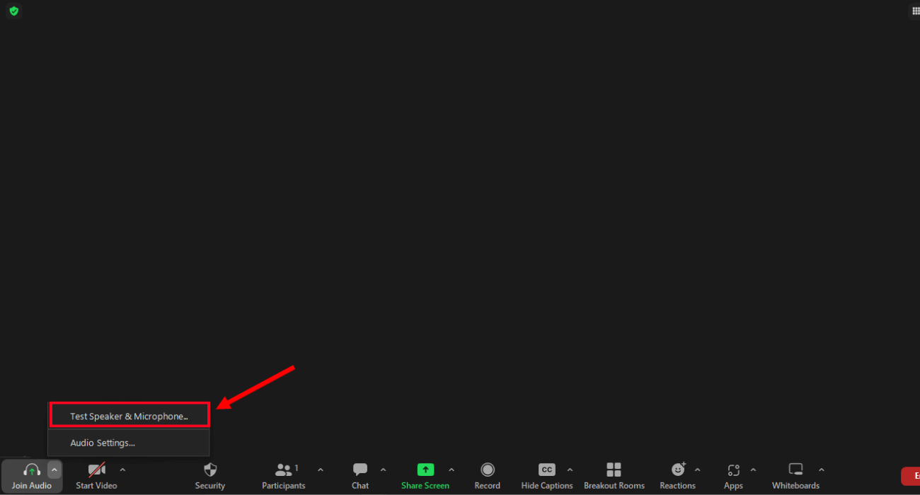 select arrow next to join audio and click test speaker and microphone