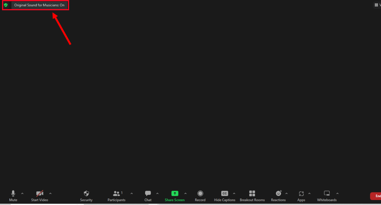you will see original sound for musicians toggle in Zoom meeting