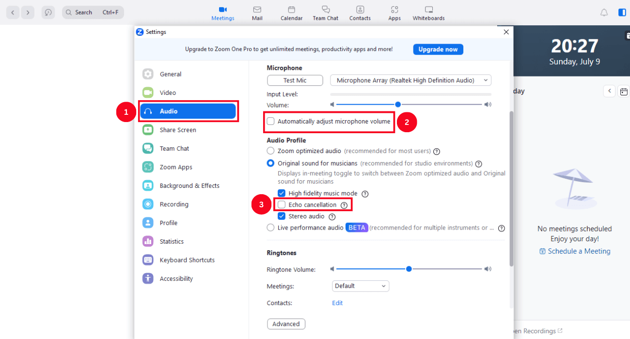 uncheck automatically adjust microphone volume and echo cancellation